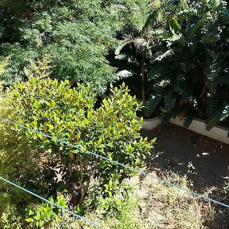 Seaside Family * Λουτράκι